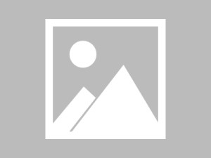 蘑菇影视在线观看深度揭秘：八卦风波背后，大V在浪漫餐厅内的角色极其令人意外