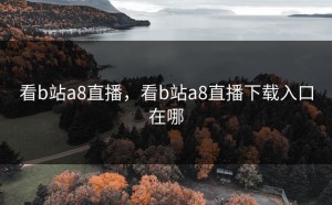 看b站a8直播，看b站a8直播下载入口在哪