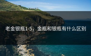 老金银瓶1-5，金瓶和银瓶有什么区别