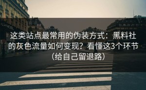 这类站点最常用的伪装方式：黑料社的灰色流量如何变现？看懂这3个环节（给自己留退路）