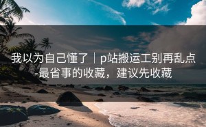 我以为自己懂了｜p站搬运工别再乱点-最省事的收藏，建议先收藏
