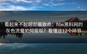 看起来不起眼却最致命：hlw黑料网的灰色流量如何变现？看懂这12个环节