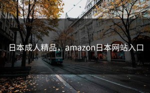 日本成人精品，amazon日本网站入口