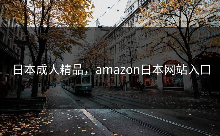 日本成人精品，amazon日本网站入口