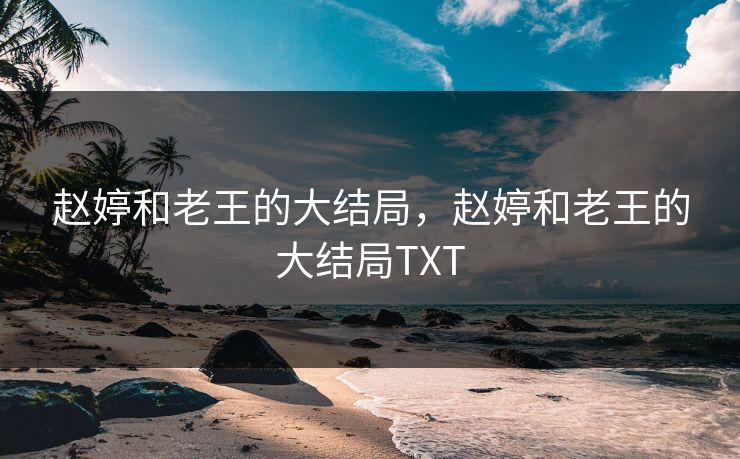赵婷和老王的大结局，赵婷和老王的大结局TXT