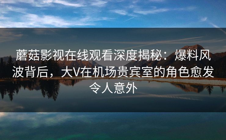 蘑菇影视在线观看深度揭秘：爆料风波背后，大V在机场贵宾室的角色愈发令人意外