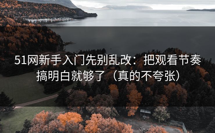 51网新手入门先别乱改：把观看节奏搞明白就够了（真的不夸张）