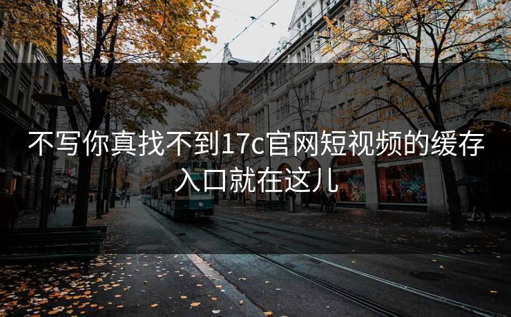 不写你真找不到17c官网短视频的缓存入口就在这儿