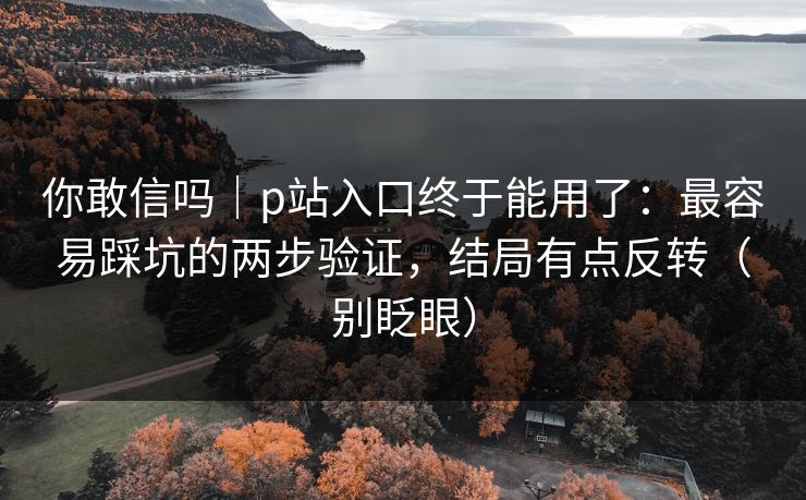 你敢信吗｜p站入口终于能用了：最容易踩坑的两步验证，结局有点反转（别眨眼）